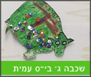 שכבה ג בית הספר עמית